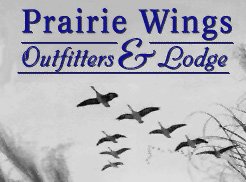 Hunt Spring Geese in Missouri with Prairie Wings Outfitters